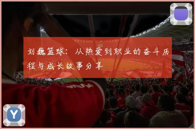 刘巍篮球：从热爱到职业的奋斗历程与成长故事分享